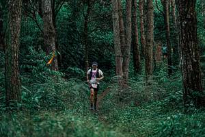 BIB: 
                            <button type="button" onclick="openModal(25237401)" class="btn btn-primary btn-sm float-right btn-popup" data-toggle="modal" data-target=".modal-high-quality">
                        <i class="fas fa-shopping-cart"></i> Add to Cart
                    </button>
                                            <button type="button" onclick="isThisMe(25237401, true)" class="btn btn-success btn-sm float-right btn-popup btn-isme hidden" data-toggle="tooltip" data-placement="bottom" title="นี่คือรูปของคุณใช่ไหม คลิกที่นี่เพื่อเอาเข้าอัลบั้ม">
                        <i class="fas fa-plus"></i> Add to album
                    </button>
                    <button type="button" onclick="isThisMe(25237401, false)" class="btn btn-warning btn-sm float-right btn-popup btn-isnotme hidden">
                        <i class="fas fa-ban"></i> Remove from album
                    </button>